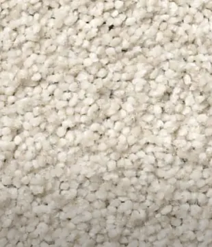 imgi_4_product_carpet